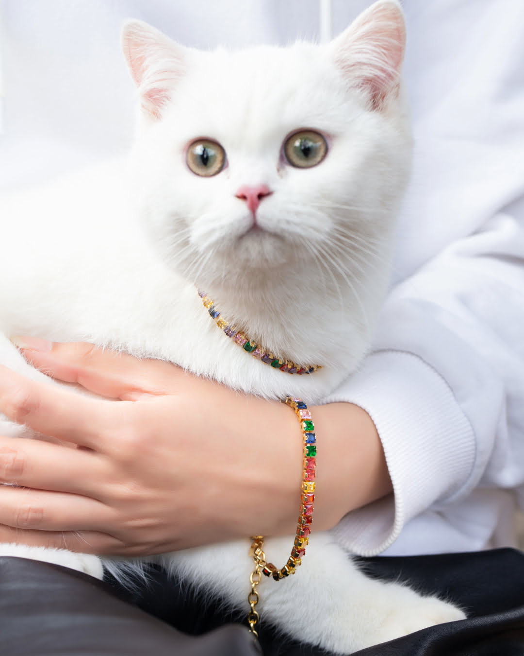 Colorful Square Zircon Pet Collar | Matching Bracelet & Necklace with Furry Friend