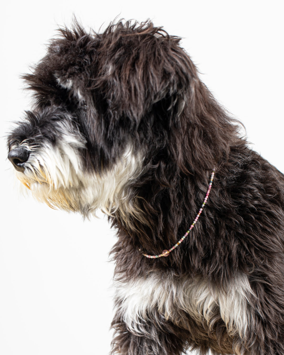 Pink Strawberry Tourmaline Quartz Pet Collar | Matching Bracelet & Necklace with Furry Friend