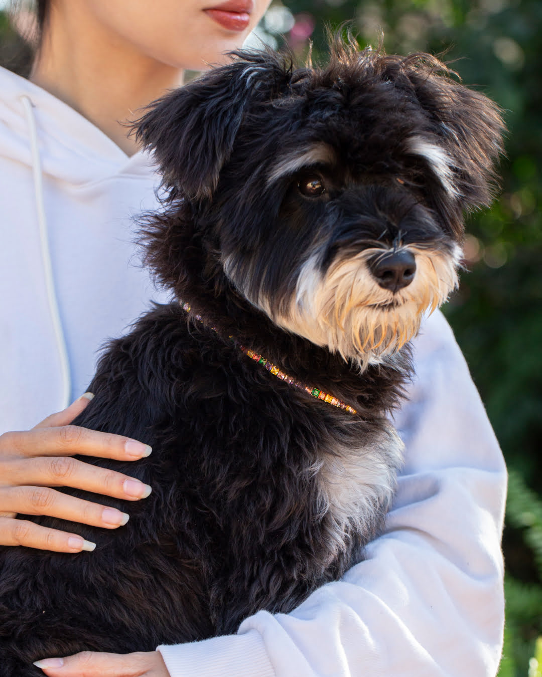 Colorful Square Zircon Pet Collar | Matching Bracelet & Necklace with Furry Friend