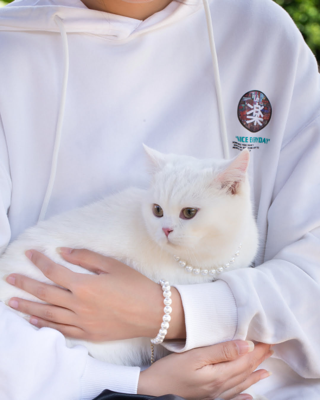 White Pearl Beaded Pet Collar | Matching Bracelet & Necklace with Furry Friend