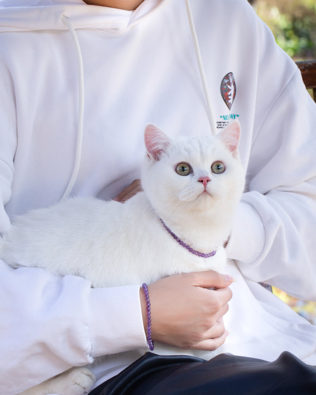 Purple Amethyst Rounded Beaded Pet Collar | Matching Bracelet & Necklace with Furry Friend