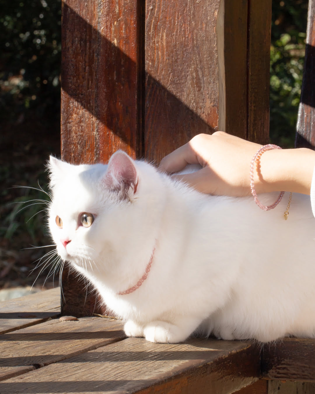 Pink Strawberry Quartz Pet Collar | Matching Bracelet & Necklace with Furry Friend