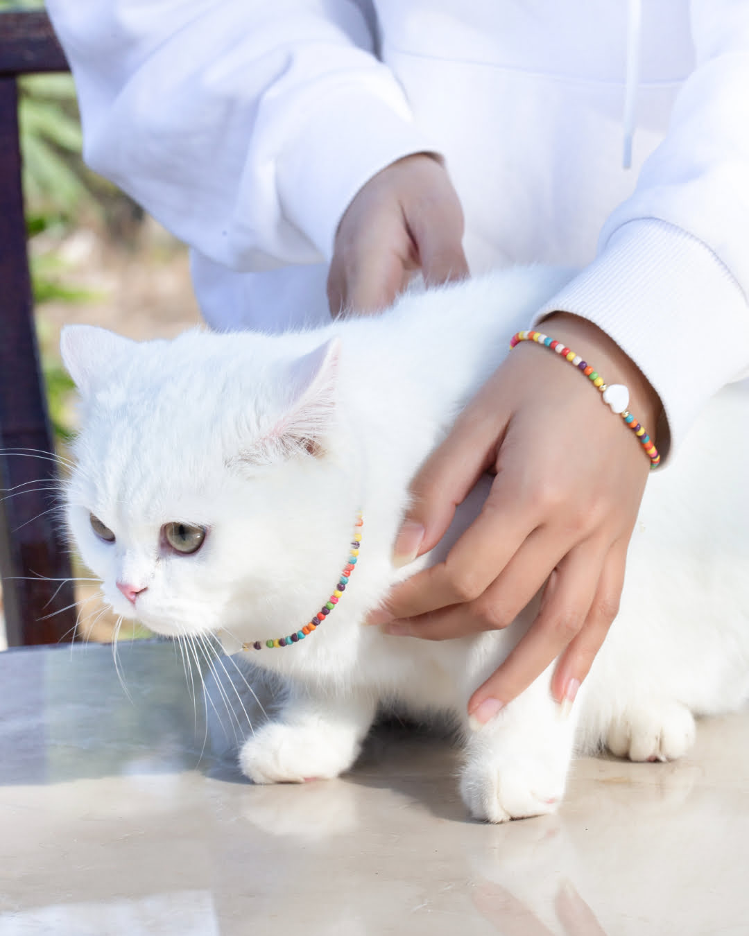 Bohemian Multicolored Beaded Pet Collar With Heart Shell | Matching Bracelet & Necklace with Furry Friend