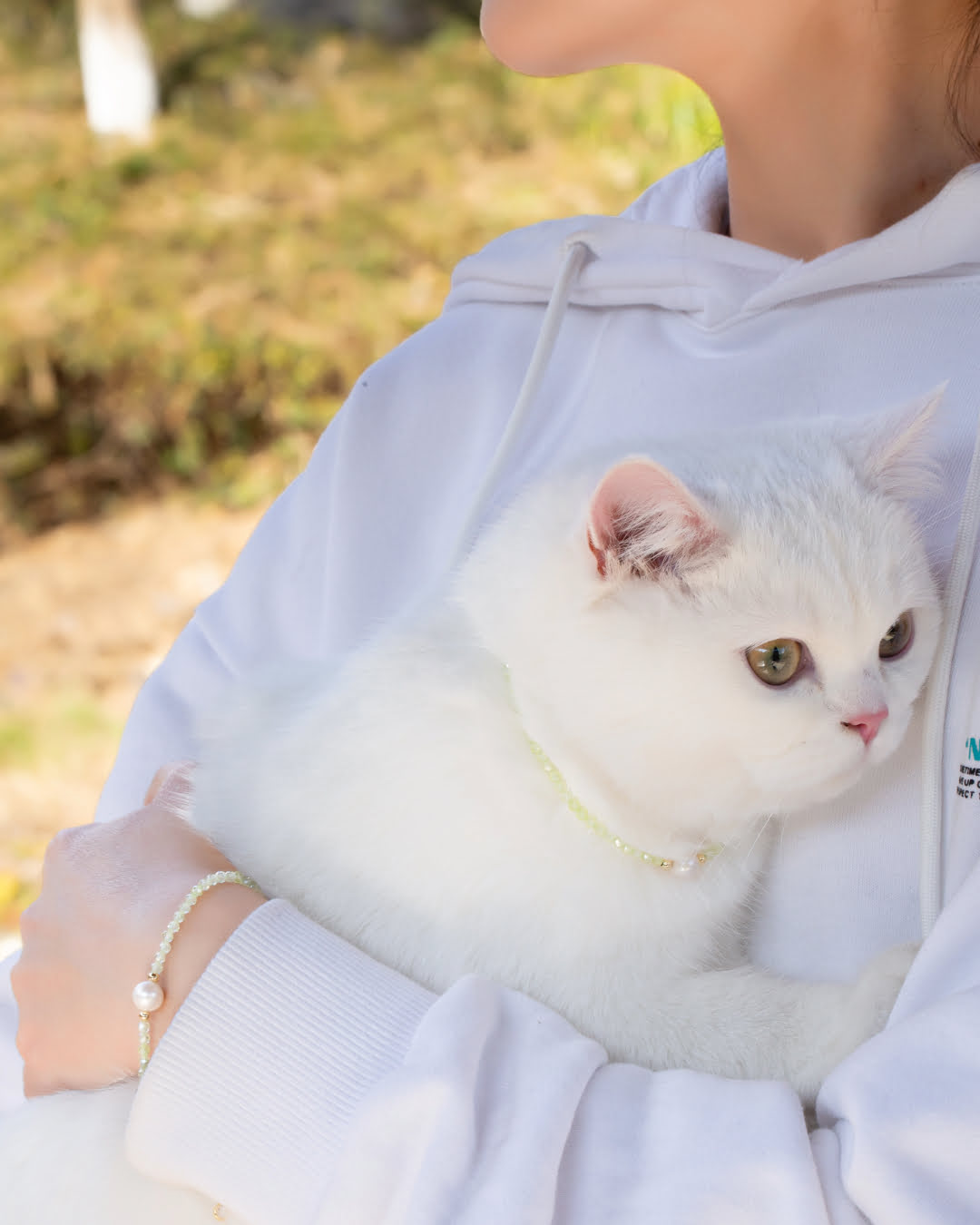 Olivine Pet Collar With Pearl | Matching Bracelet & Necklace with Furry Friend