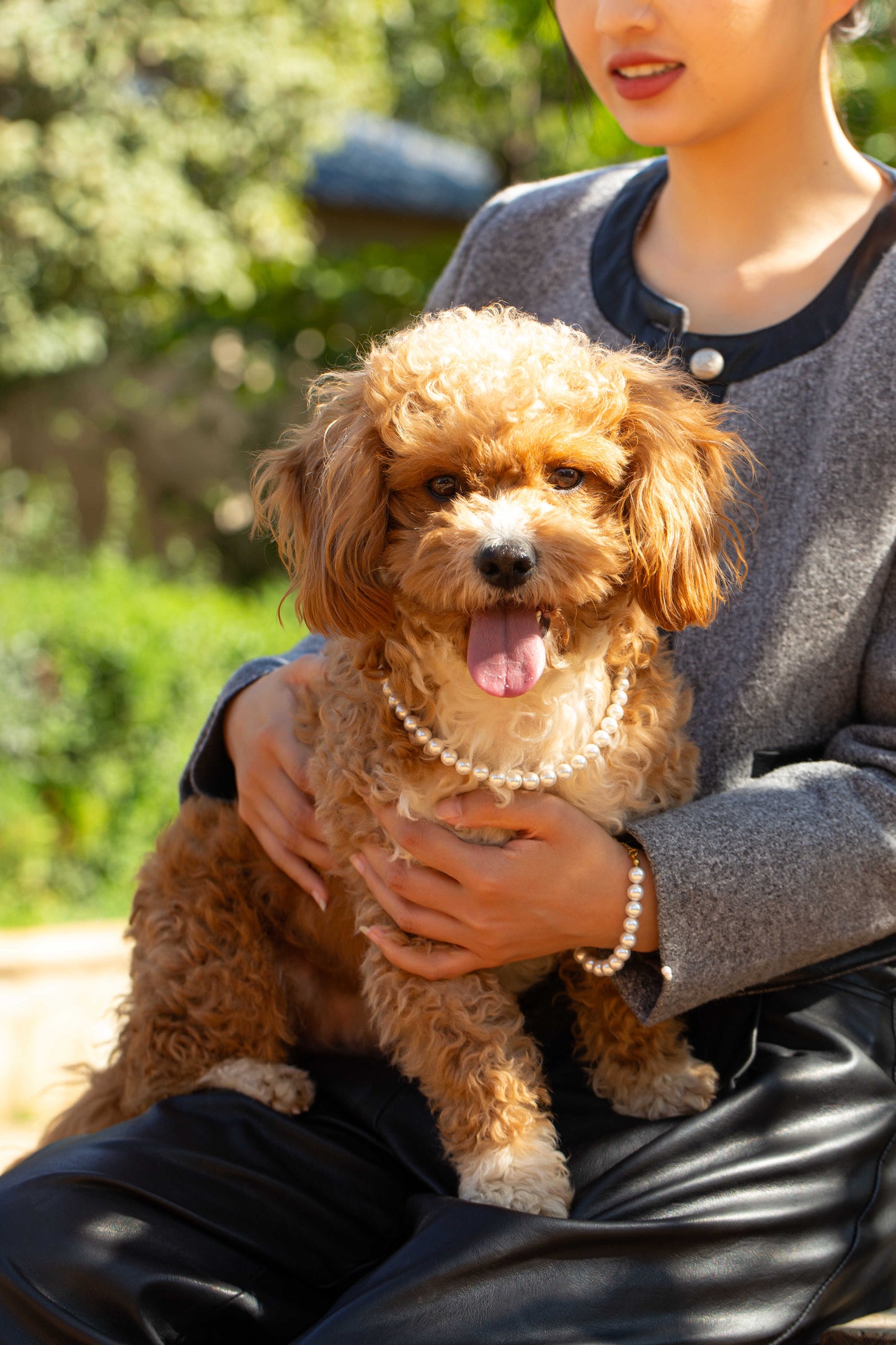 White Pearl Beaded Pet Collar | Matching Bracelet & Necklace with Furry Friend