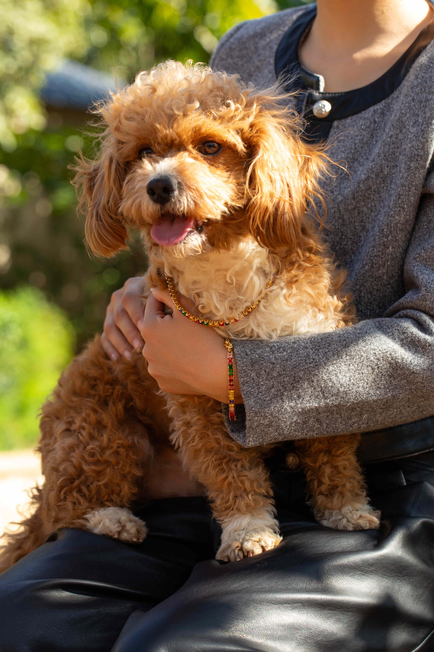 Colorful Square Zircon Pet Collar | Matching Bracelet & Necklace with Furry Friend