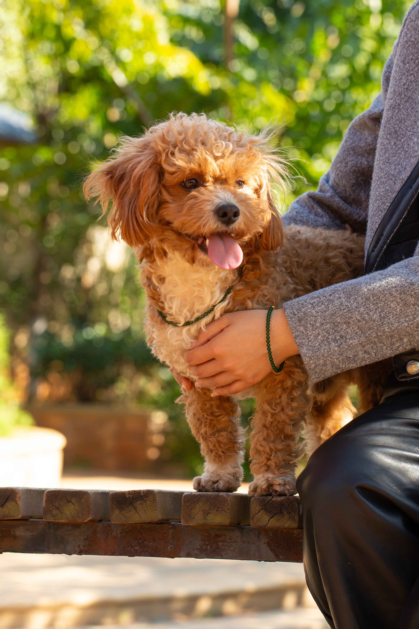 Green Chrysoprase Quartz Pet Collar | Matching Bracelet & Necklace with Furry Friend