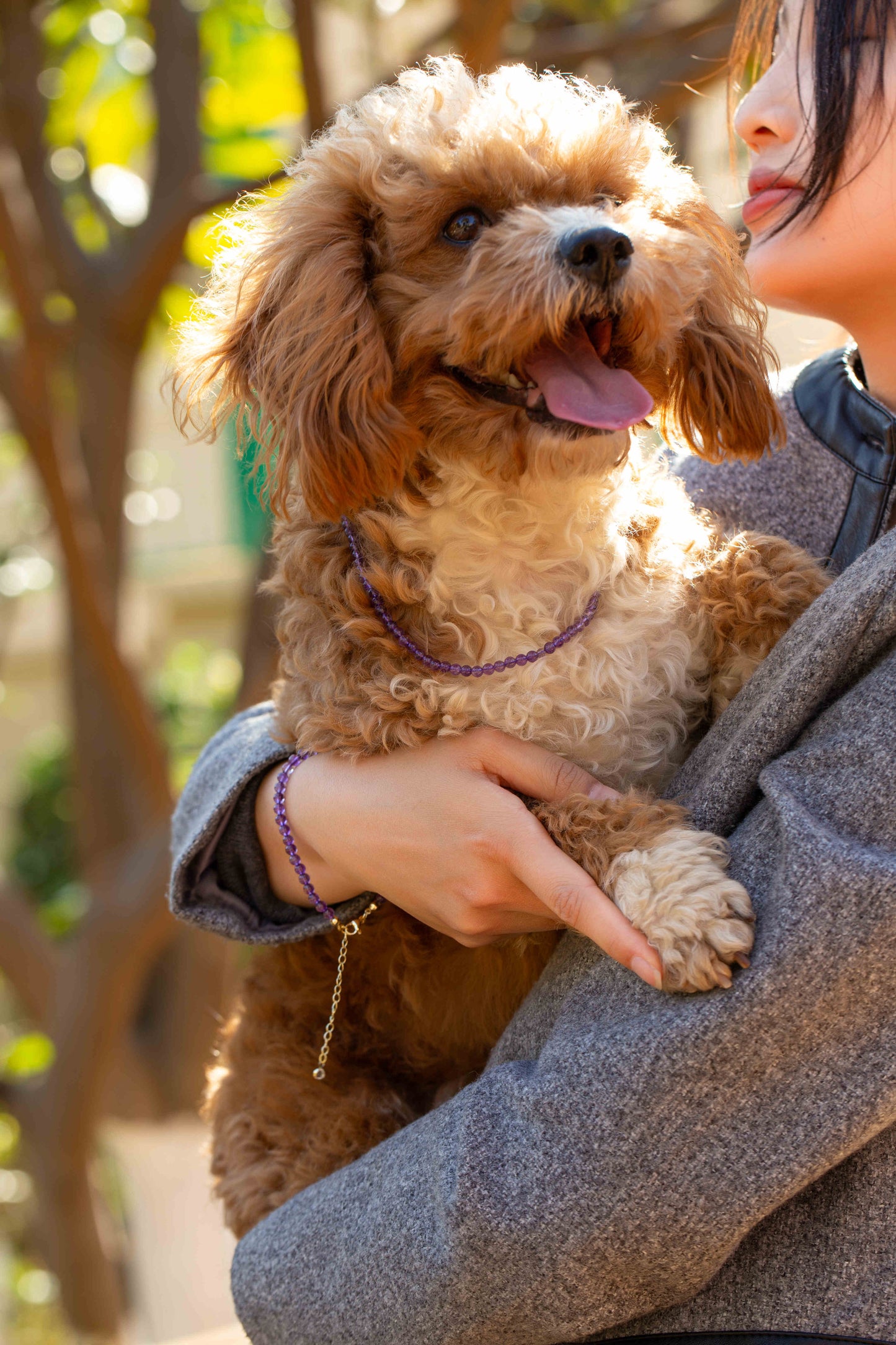 Purple Amethyst Rounded Beaded Pet Collar | Matching Bracelet & Necklace with Furry Friend