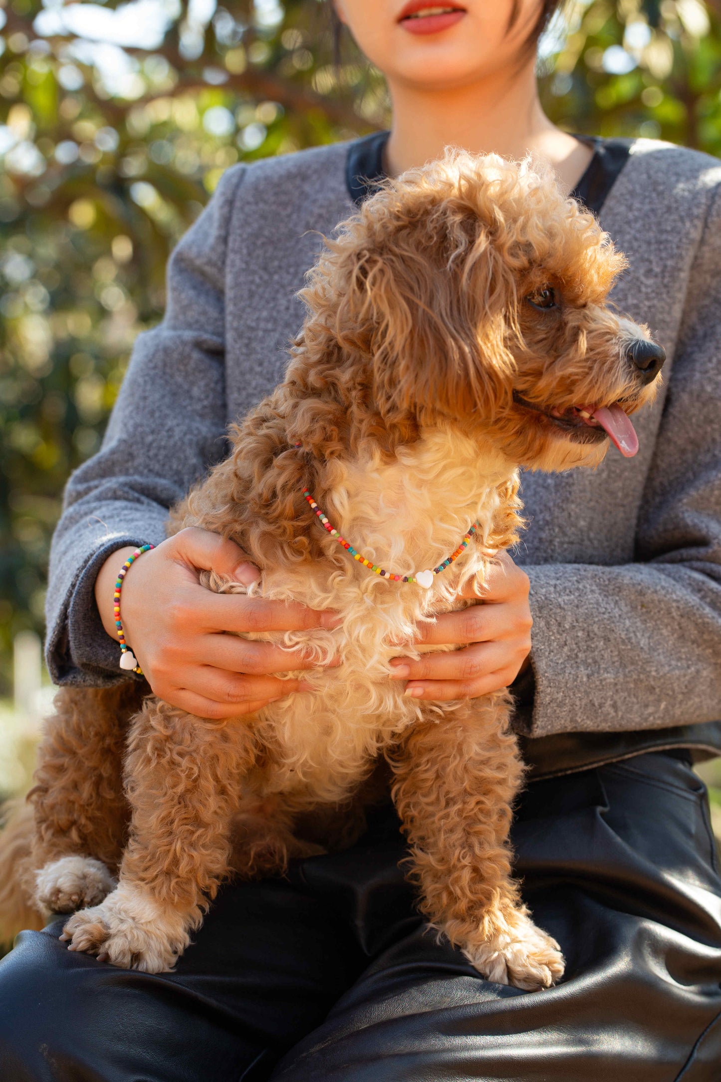 Bohemian Multicolored Beaded Pet Collar With Heart Shell | Matching Bracelet & Necklace with Furry Friend